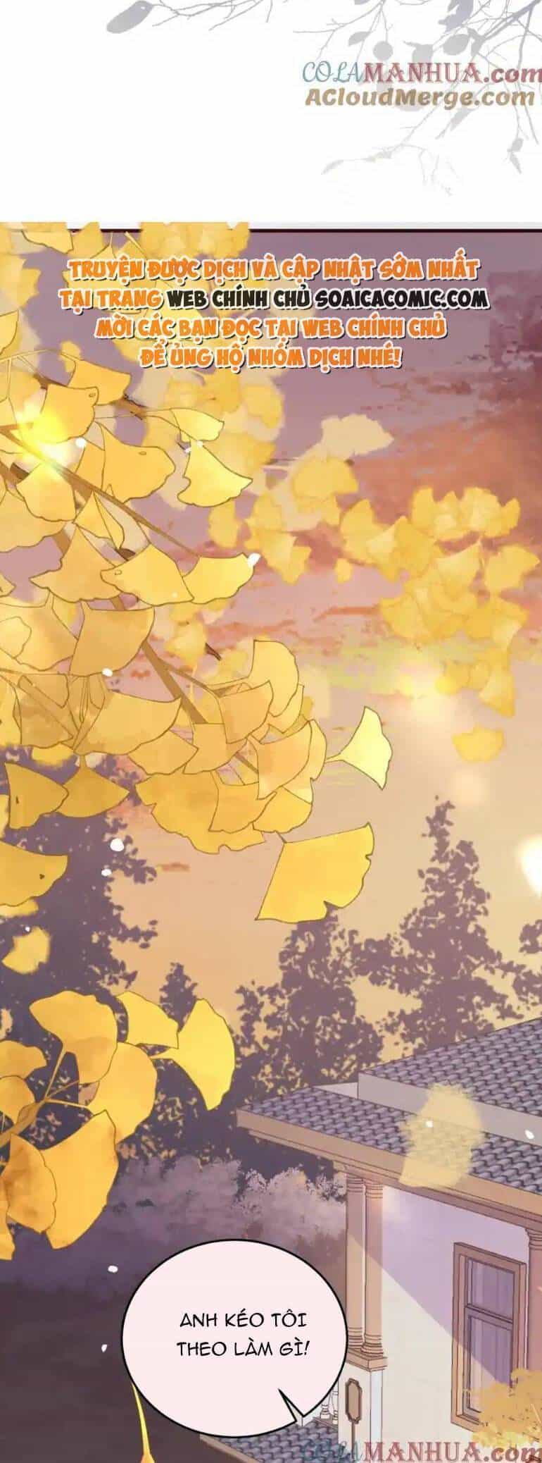 Ta Có Hào Quang Bá Tổng - Chương 19 - ảnh 11