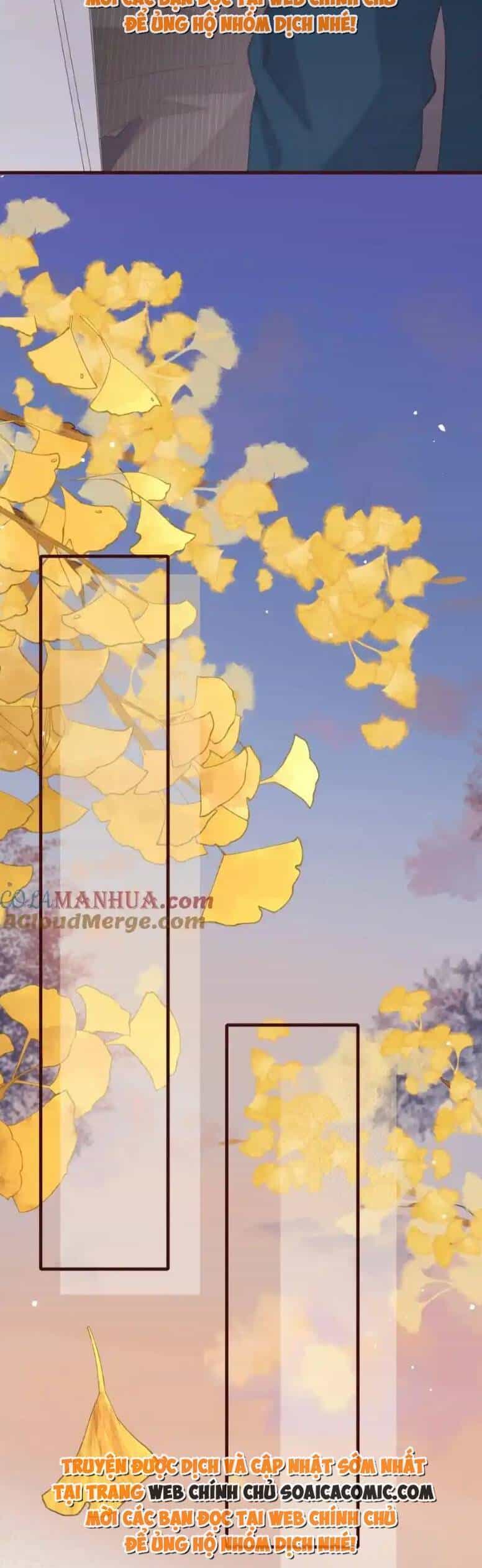 Ta Có Hào Quang Bá Tổng - Chương 19 - ảnh 20