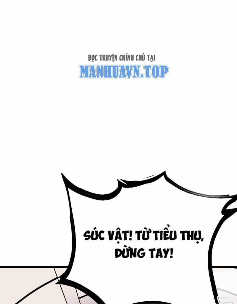 Ta Có Một Thân Kỹ Năng Bị Động - Chương 14 - ảnh 1