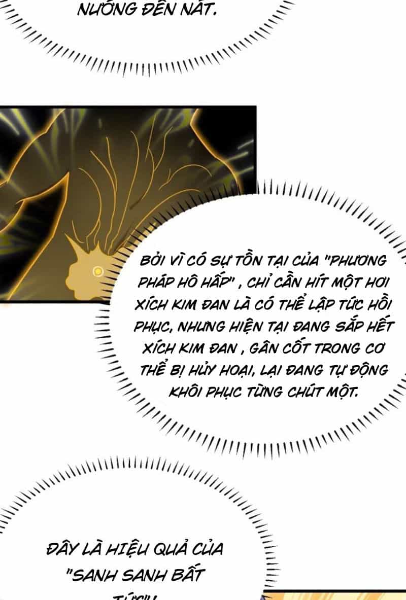 Ta Có Một Thân Kỹ Năng Bị Động - Chương 25 - ảnh 39