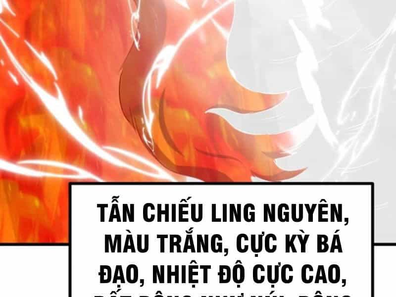 Ta Có Một Thân Kỹ Năng Bị Động - Chương 62 - ảnh 84