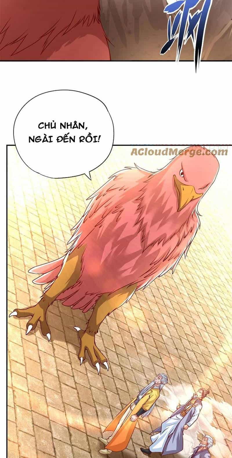 Ta Có Thể Đốn Ngộ Vô Hạn - Chương 44 - ảnh 8