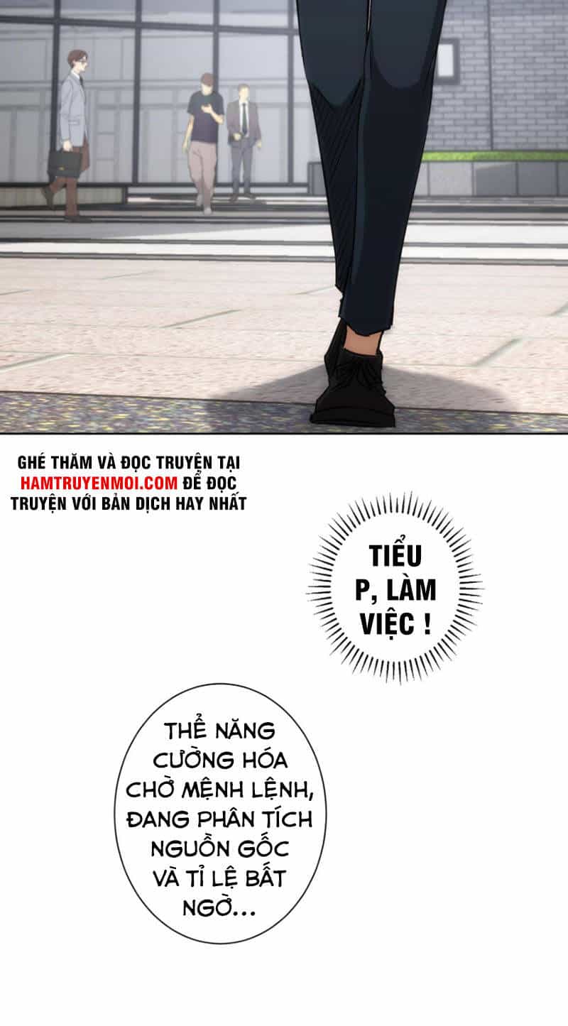 Ta Có Thể Thấy Tỉ Lệ Thành Công - Chương 167 - ảnh 5