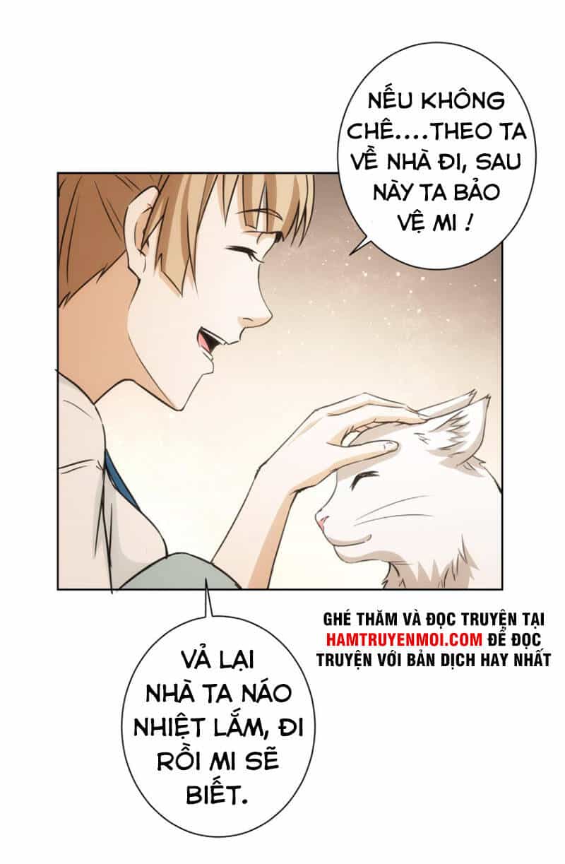 Ta Có Thể Thấy Tỉ Lệ Thành Công - Chương 168 - ảnh 28
