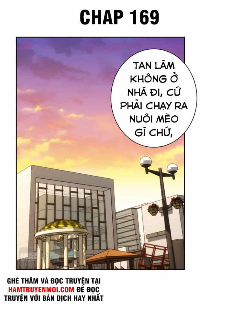 Ta Có Thể Thấy Tỉ Lệ Thành Công - Chương 169 - ảnh 1