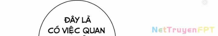 Ta Có Thể Thấy Tỉ Lệ Thành Công - Chương 217 - ảnh 10