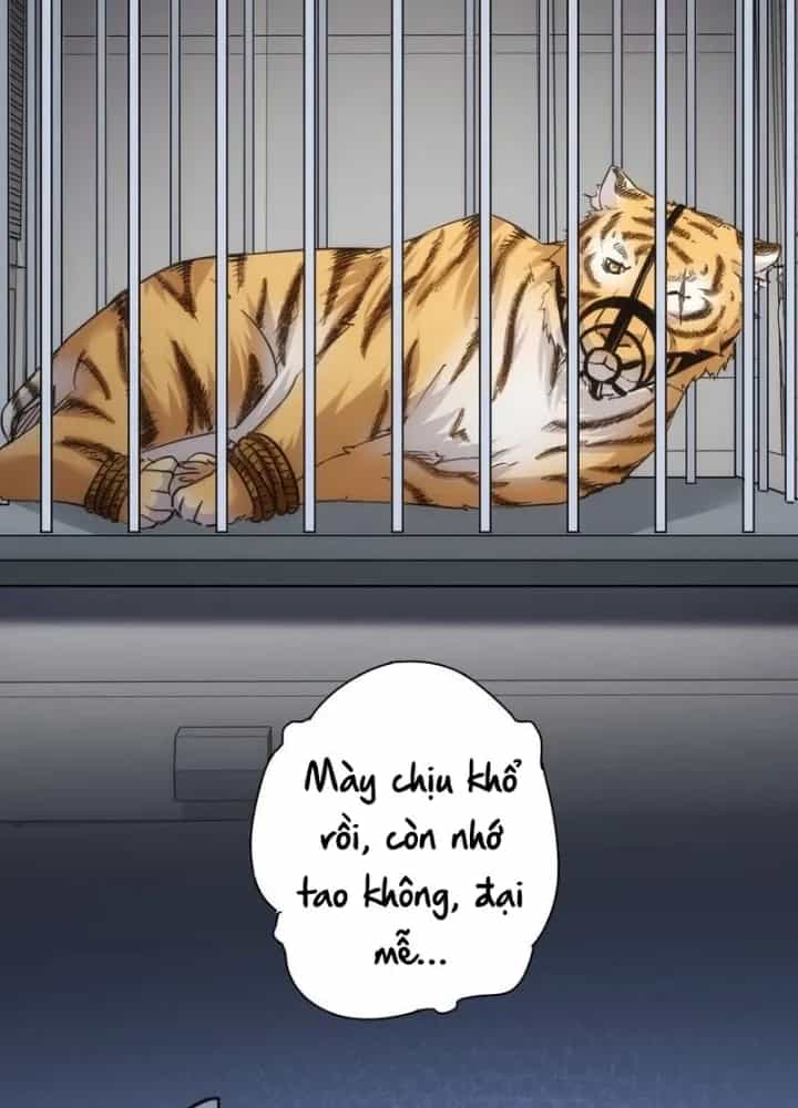 Ta Có Thể Thấy Tỉ Lệ Thành Công - Chương 253 - ảnh 109