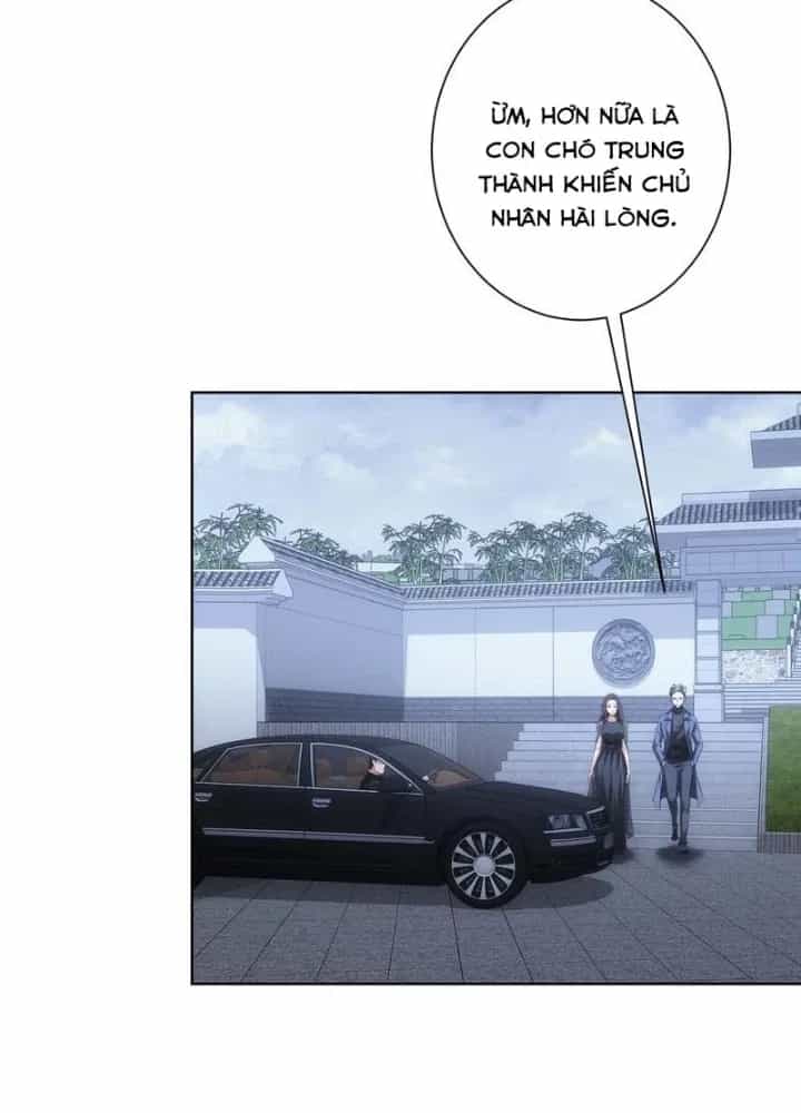 Ta Có Thể Thấy Tỉ Lệ Thành Công - Chương 271 - ảnh 39
