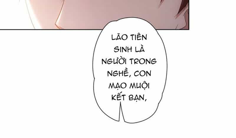 Ta Có Thể Thấy Tỉ Lệ Thành Công - Chương 6 - ảnh 19