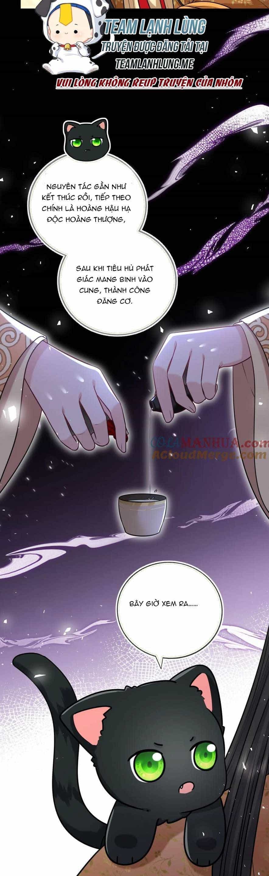 Ta Đem Hoàng Tử Dưỡng Thành Hắc Hóa - Chương 90 - ảnh 19