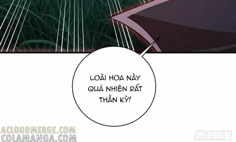 Ta Dựa Vào Hậu Cung Chinh Phục Thế Giới - Chương 69.6 - ảnh 18