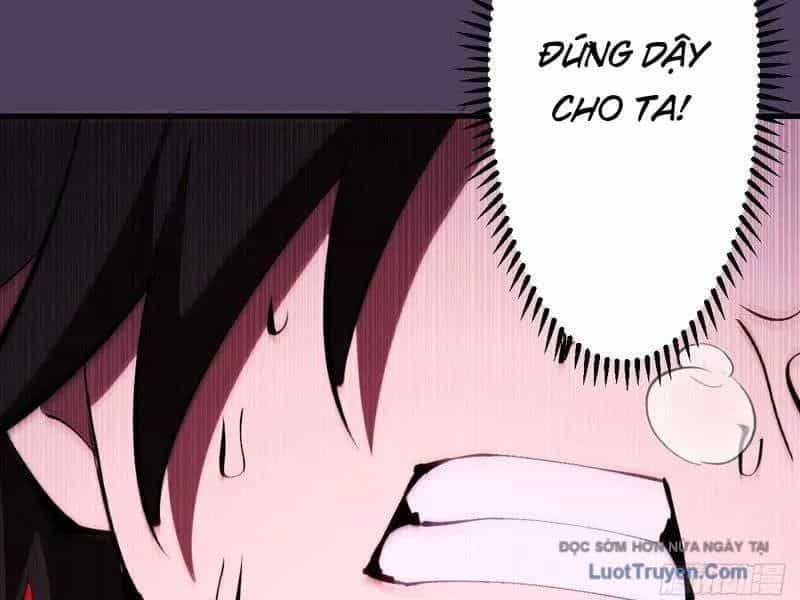 Ta Dựa Vào Hậu Cung Chinh Phục Thế Giới - Chương 83 - ảnh 84