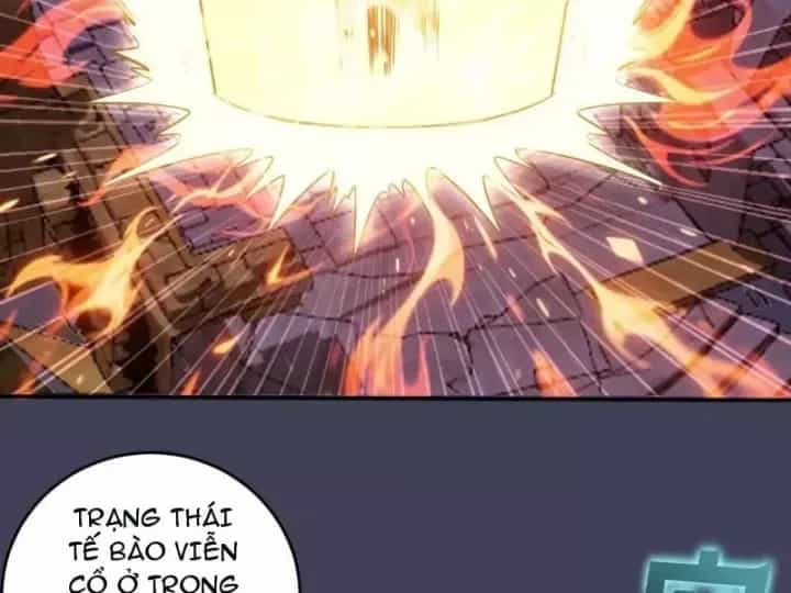 Ta Dựa Vào Hậu Cung Chinh Phục Thế Giới - Chương 100 - ảnh 23