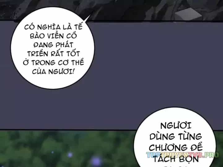 Ta Dựa Vào Hậu Cung Chinh Phục Thế Giới - Chương 100 - ảnh 5