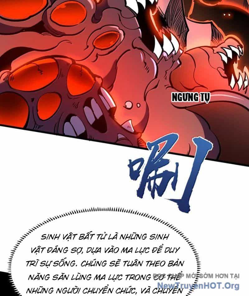Ta Dựa Vào Nhặt Rác Trở Thành Vương Giả - Chương 78 - ảnh 49