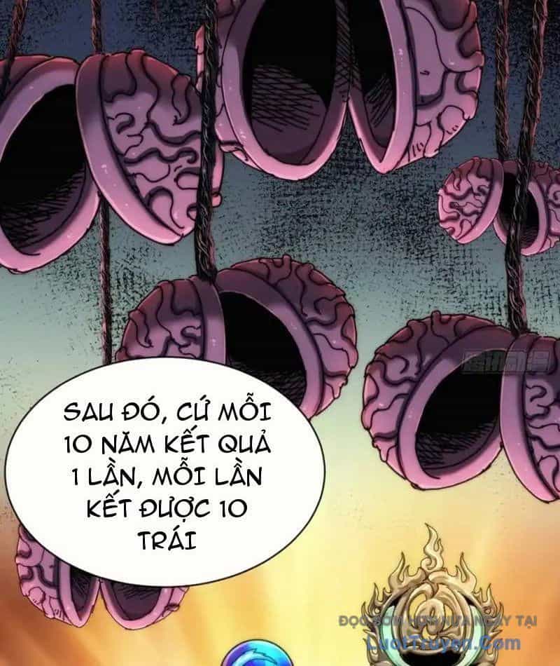 Ta Dựa Vào Tu Tiên Xưng Bá Mạt Thế - Chương 34 - ảnh 40
