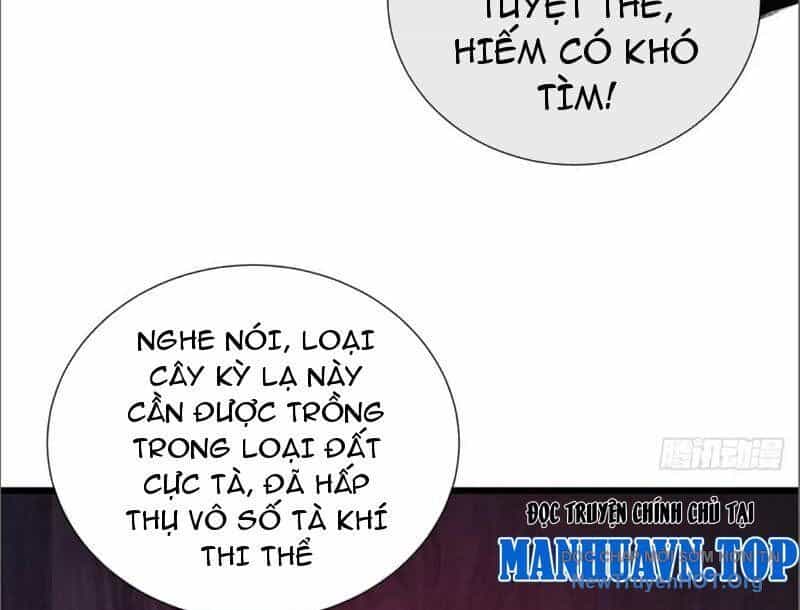 Ta Dựa Vào Tu Tiên Xưng Bá Mạt Thế - Chương 7 - ảnh 133
