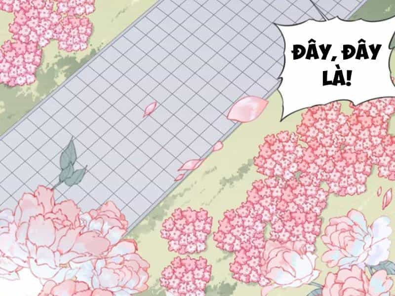 Ta Dùng Cơ Bắp Xưng Bá Tu Tiên Giới - Chương 32 - ảnh 36