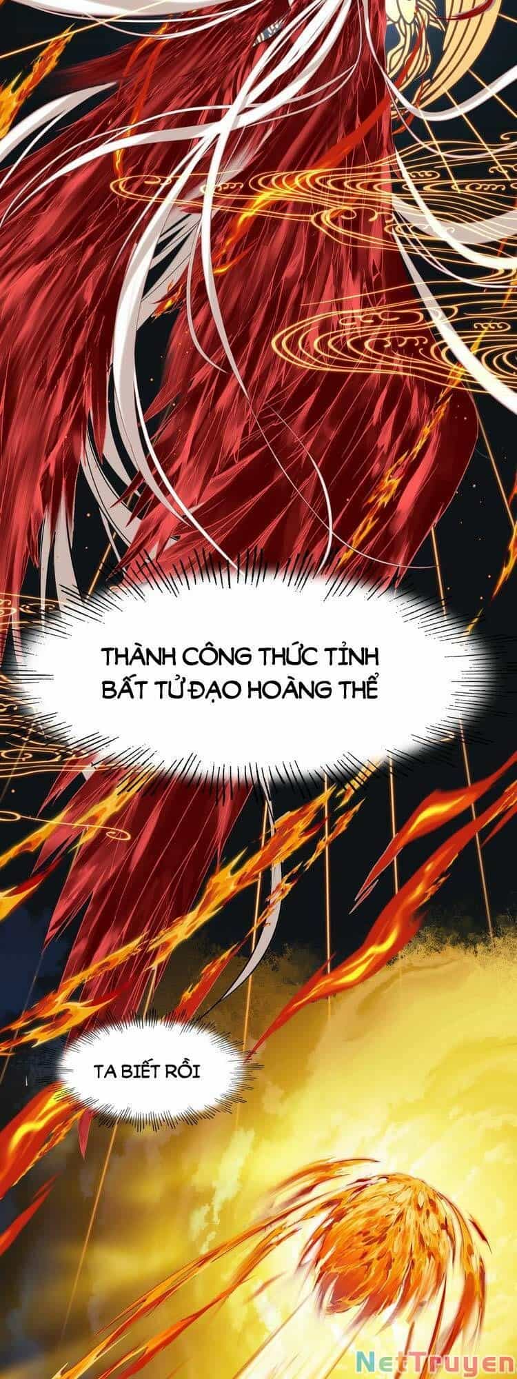 Ta Đúng Là Cao Thủ Tuyệt Thế - Chương 3 - ảnh 6