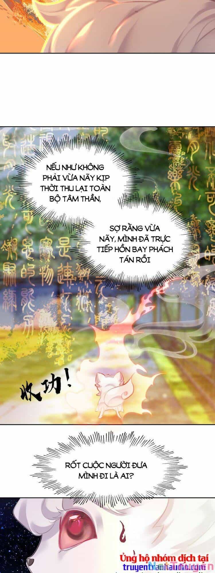 Ta Đúng Là Cao Thủ Tuyệt Thế - Chương 6 - ảnh 23