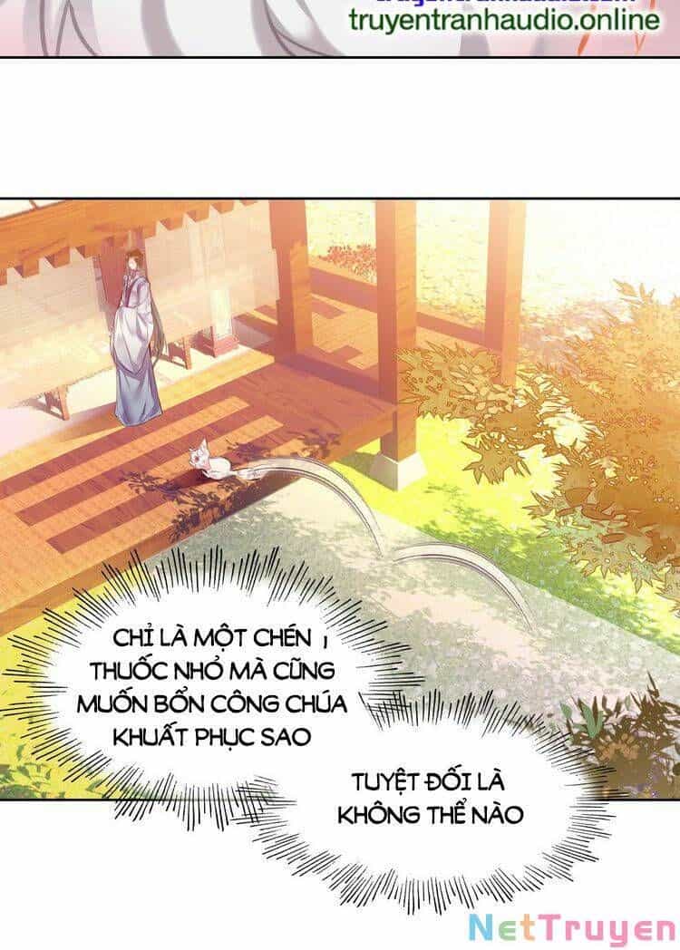 Ta Đúng Là Cao Thủ Tuyệt Thế - Chương 6 - ảnh 30
