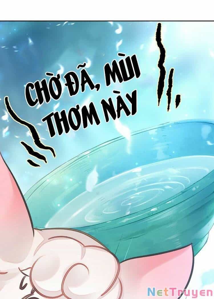Ta Đúng Là Cao Thủ Tuyệt Thế - Chương 6 - ảnh 31