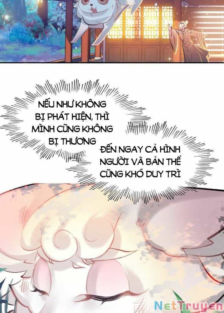 Ta Đúng Là Cao Thủ Tuyệt Thế - Chương 6 - ảnh 4