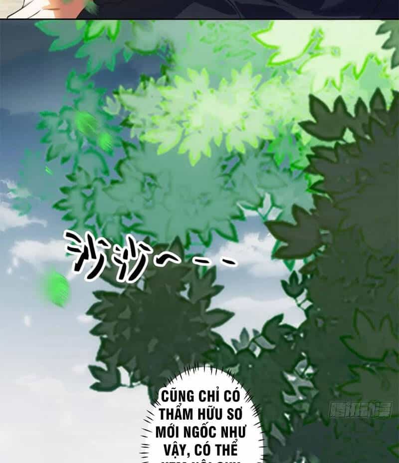 Ta Không Muốn Trùng Sinh Đâu - Chương 204 - ảnh 61