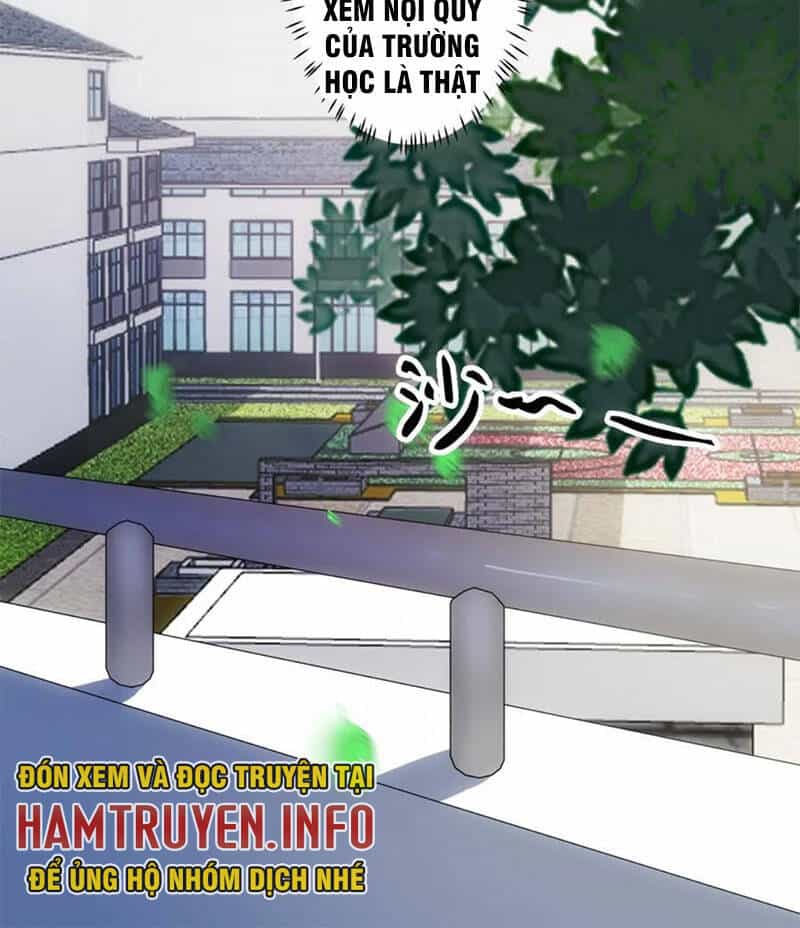 Ta Không Muốn Trùng Sinh Đâu - Chương 204 - ảnh 62