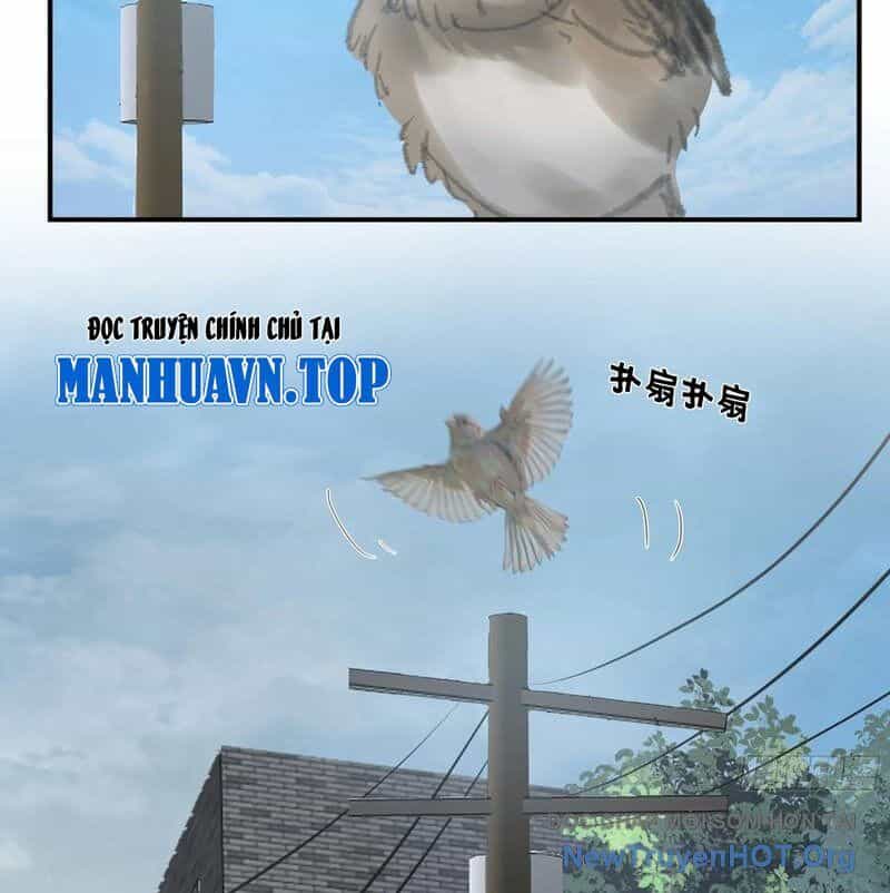 Ta Không Muốn Trùng Sinh Đâu - Chương 432 - ảnh 31