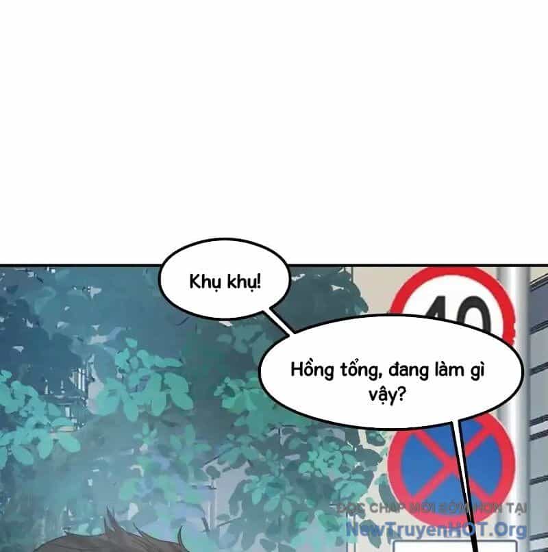 Ta Không Muốn Trùng Sinh Đâu - Chương 436 - ảnh 36