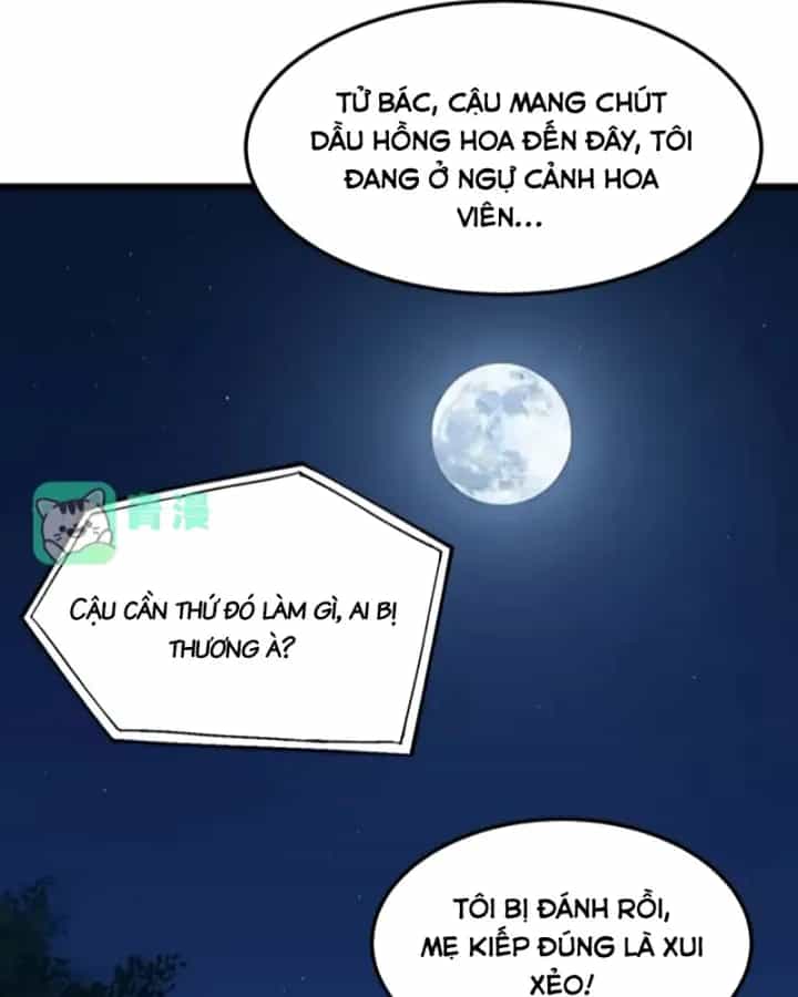 Ta Không Muốn Trùng Sinh Đâu - Chương 481 - ảnh 25