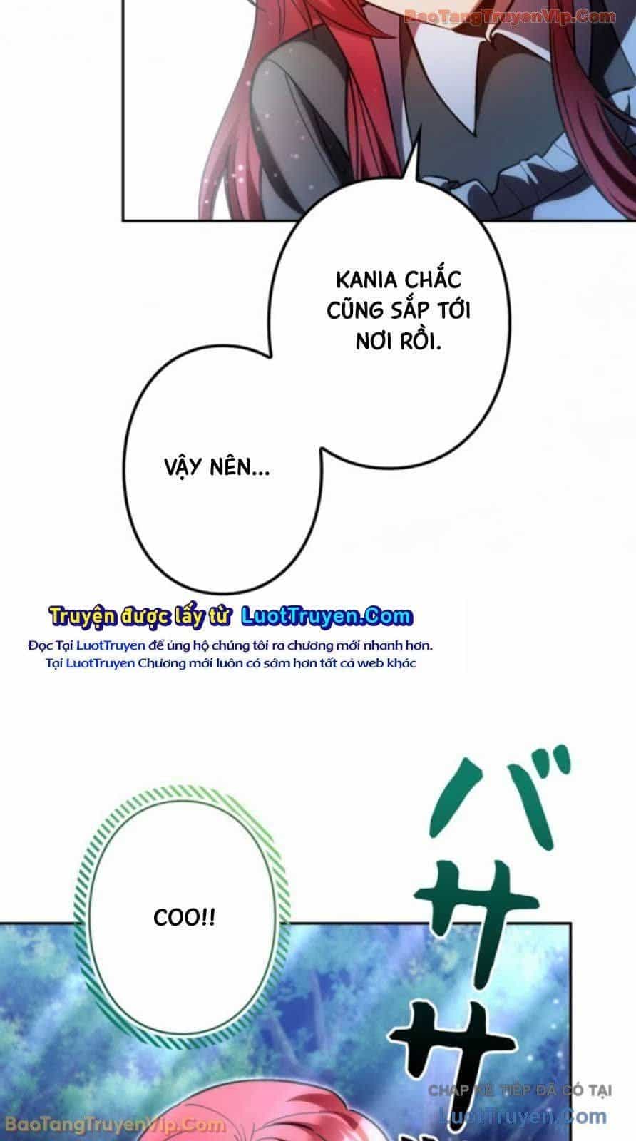 Ta Là Anh Hùng Nhưng Các Nữ Chính Lại Muốn Giết Ta - Chương 42 - ảnh 82