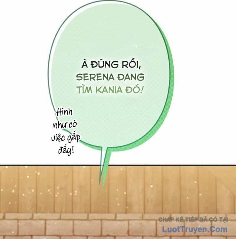 Ta Là Anh Hùng Nhưng Các Nữ Chính Lại Muốn Giết Ta - Chương 55 - ảnh 40