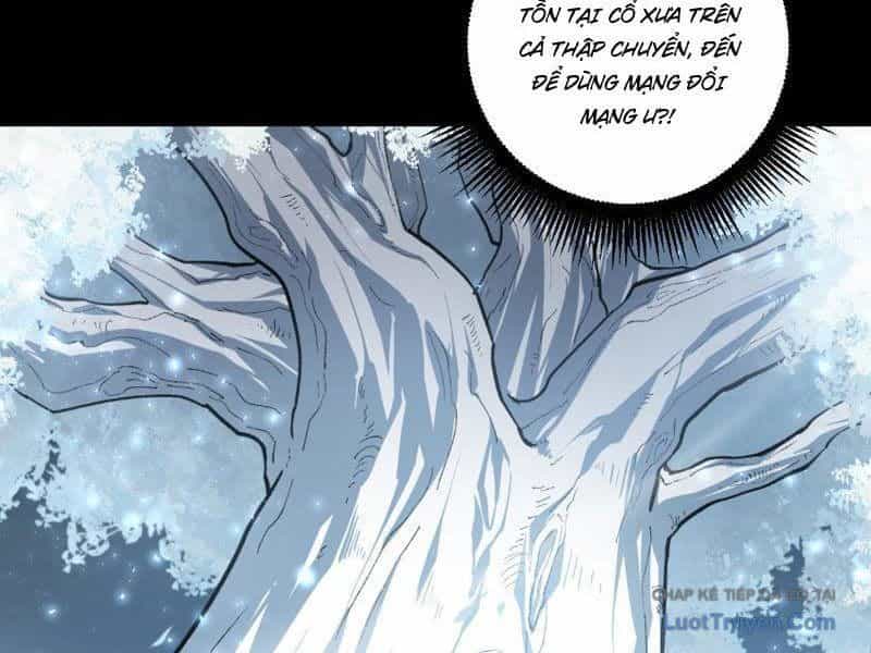 Ta Là Chúa Tể Trùng Độc - Chương 95 - ảnh 38