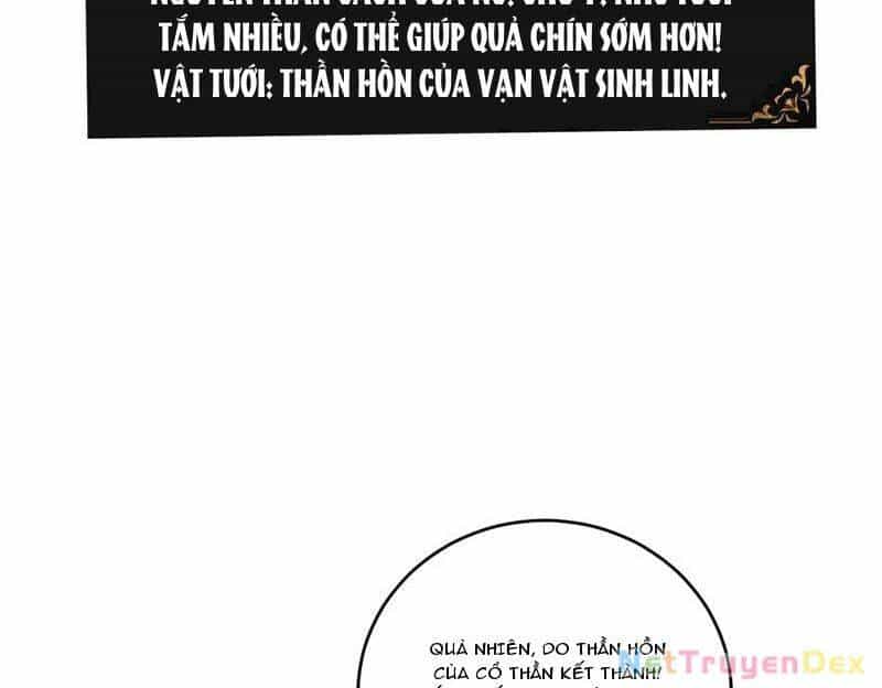 Ta Là Chúa Tể Trùng Độc - Chương 40 - ảnh 8