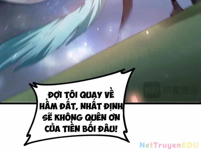 Ta Là Chúa Tể Trùng Độc - Chương 48 - ảnh 13