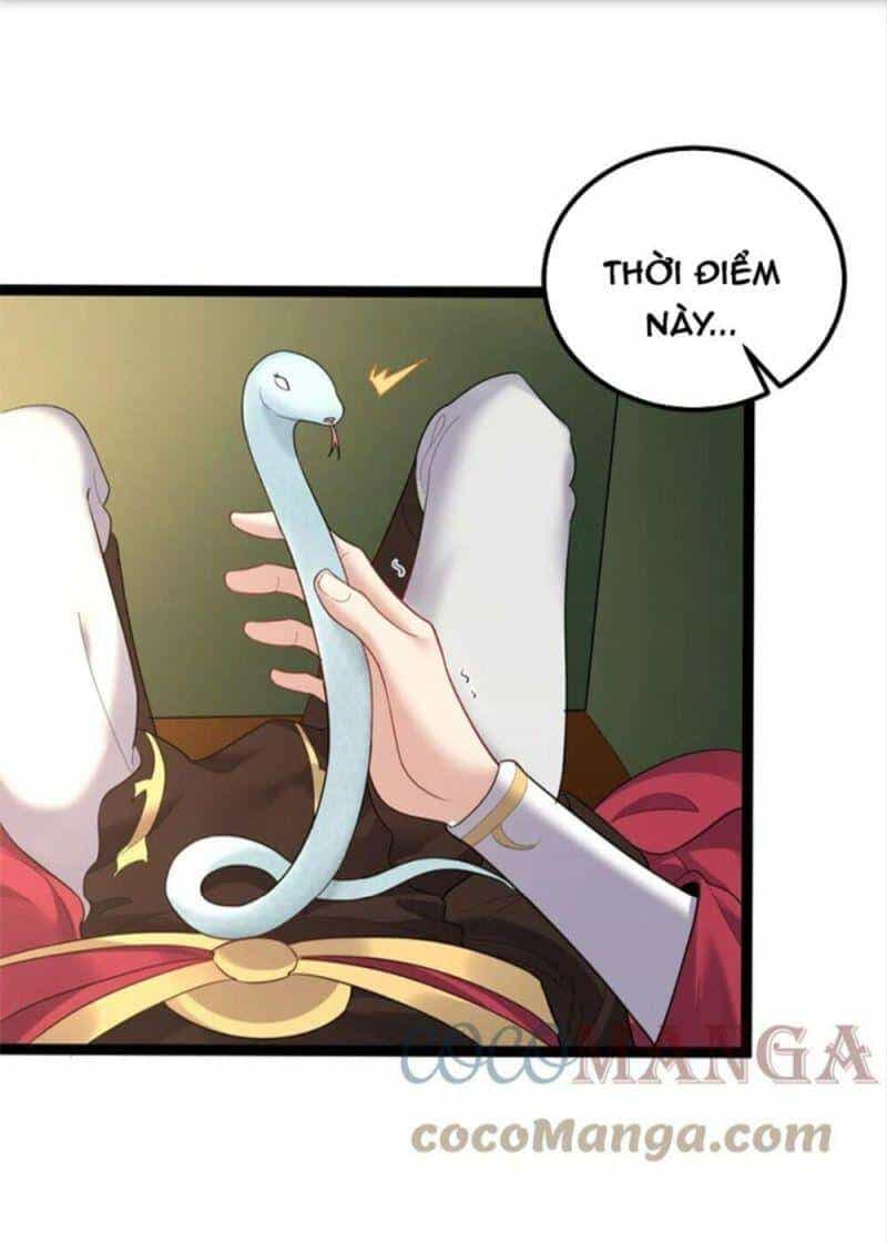 Ta Là Nhân Vật Phản Diện Đại Thiếu Gia - Chương 75 - ảnh 33
