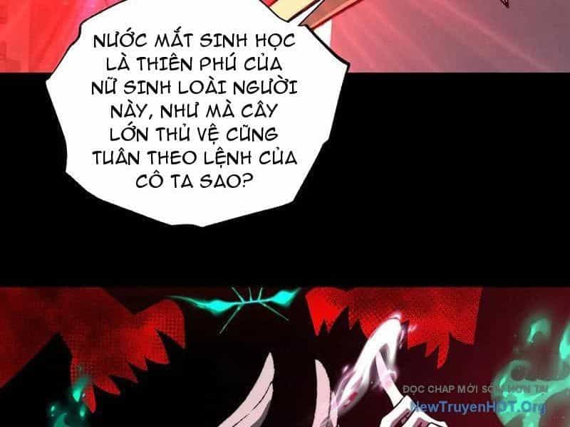 Ta Là Tai Họa Cấp Mục Sư - Chương 55 - ảnh 25
