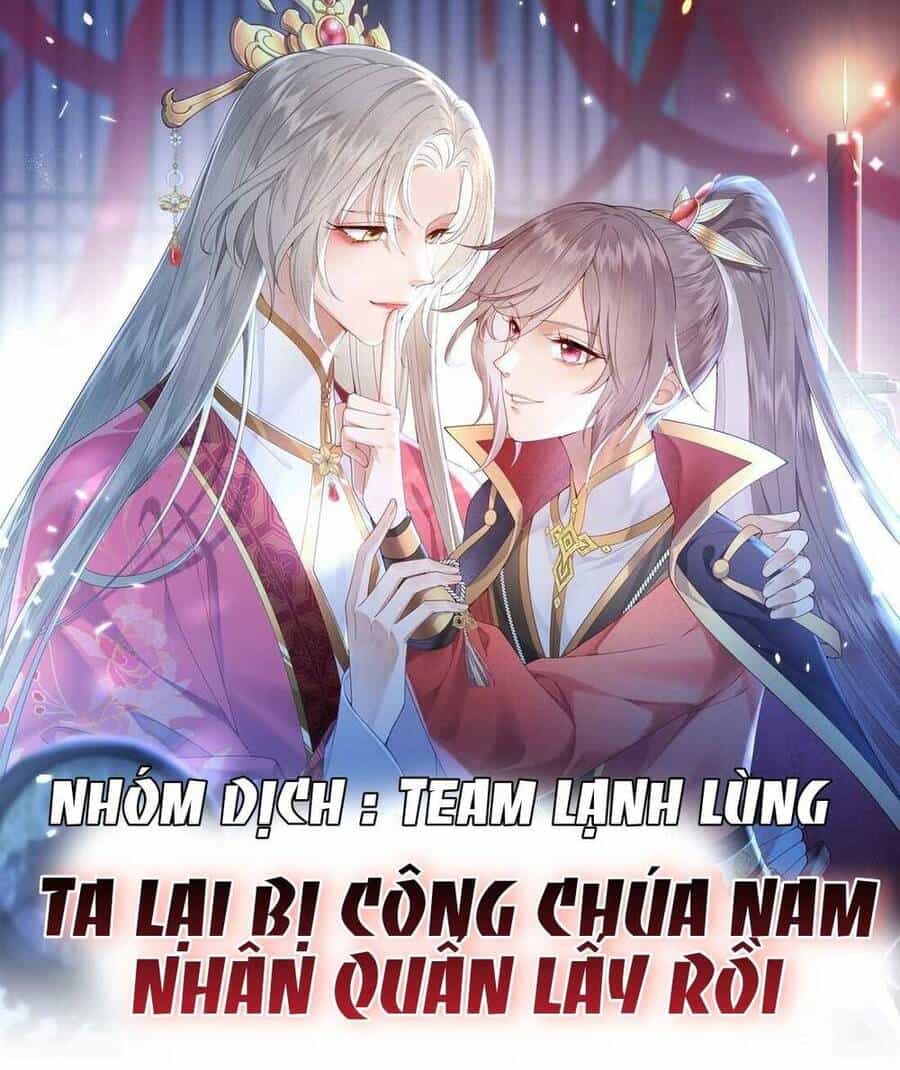 Ta Lại Bị Công Chúa Nam Nhân Quấn Lấy Rồi - Chương 2 - ảnh 2
