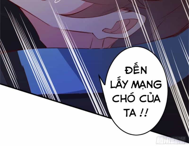 Ta Lập Hậu Cung Tại Tây Du Ký - Chương 2 - ảnh 13