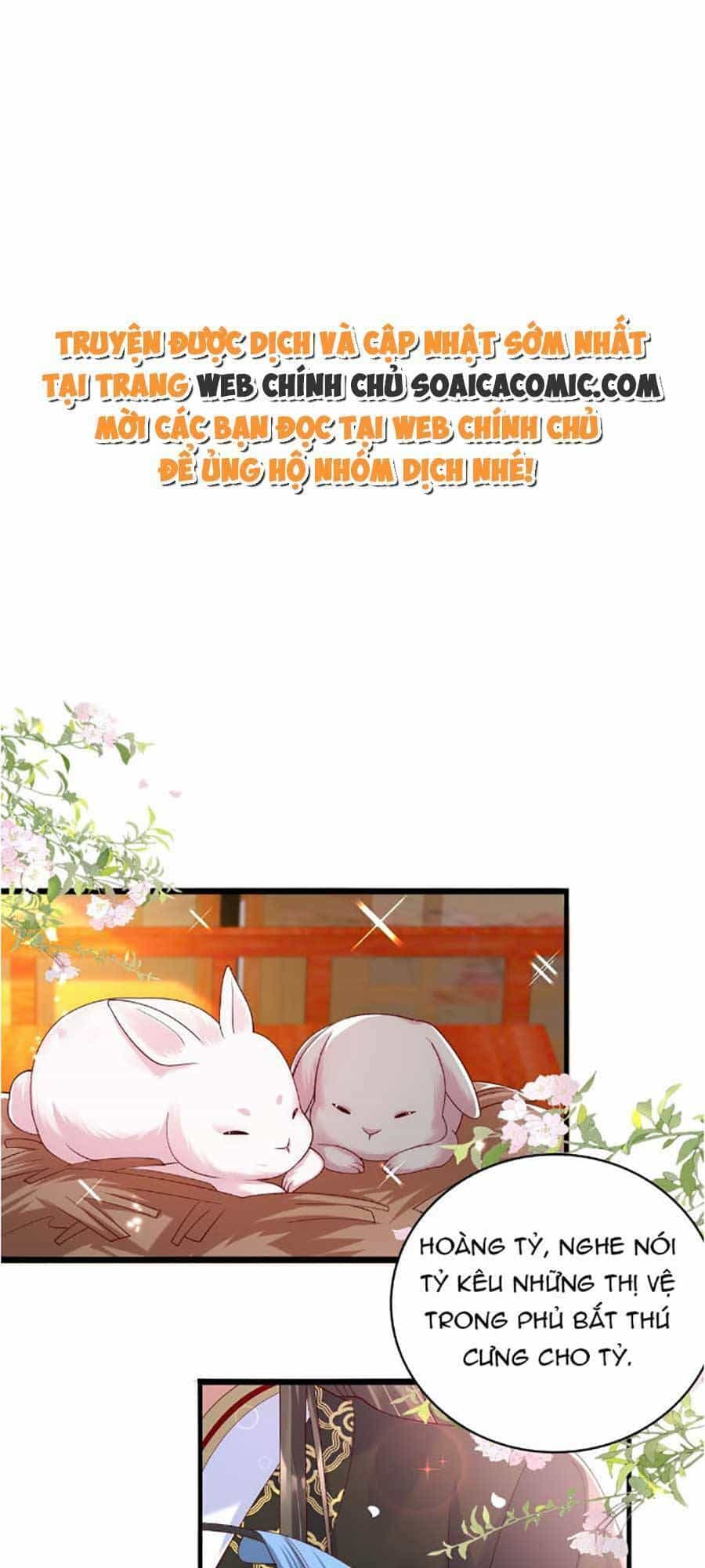 Ta Live Stream Ngược Đãi Nam Chính - Chương 17 - ảnh 1