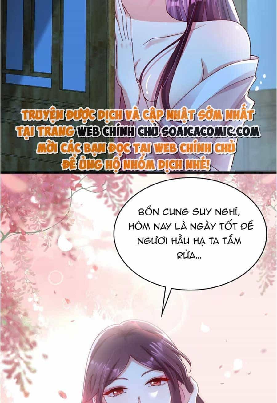 Ta Live Stream Ngược Đãi Nam Chính - Chương 17 - ảnh 22