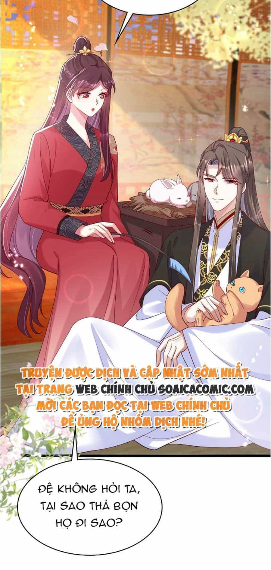 Ta Live Stream Ngược Đãi Nam Chính - Chương 17 - ảnh 4