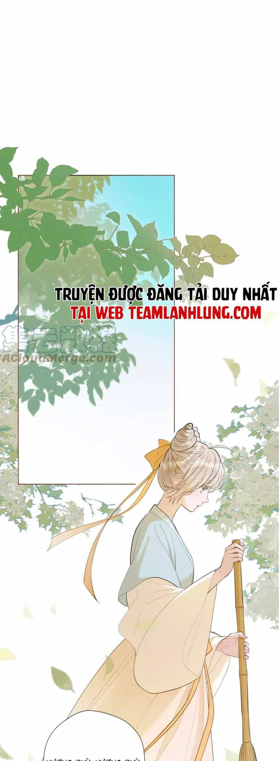 Ta Live Stream Trong Lãnh Cung - Chương 9 - ảnh 2