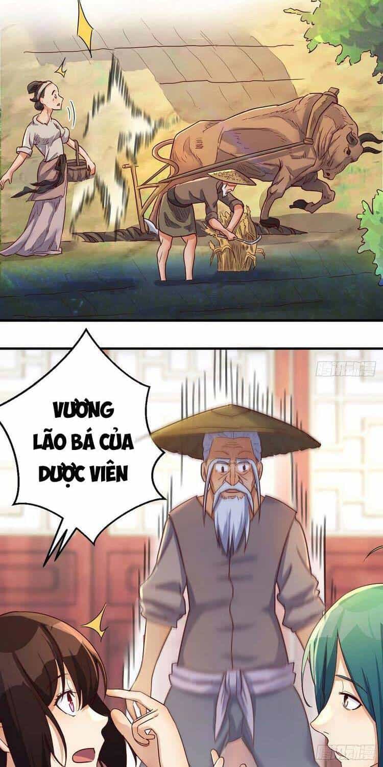 Ta Mắc Chứng Tu Luyện Trâu Bò - Chương 33 - ảnh 6