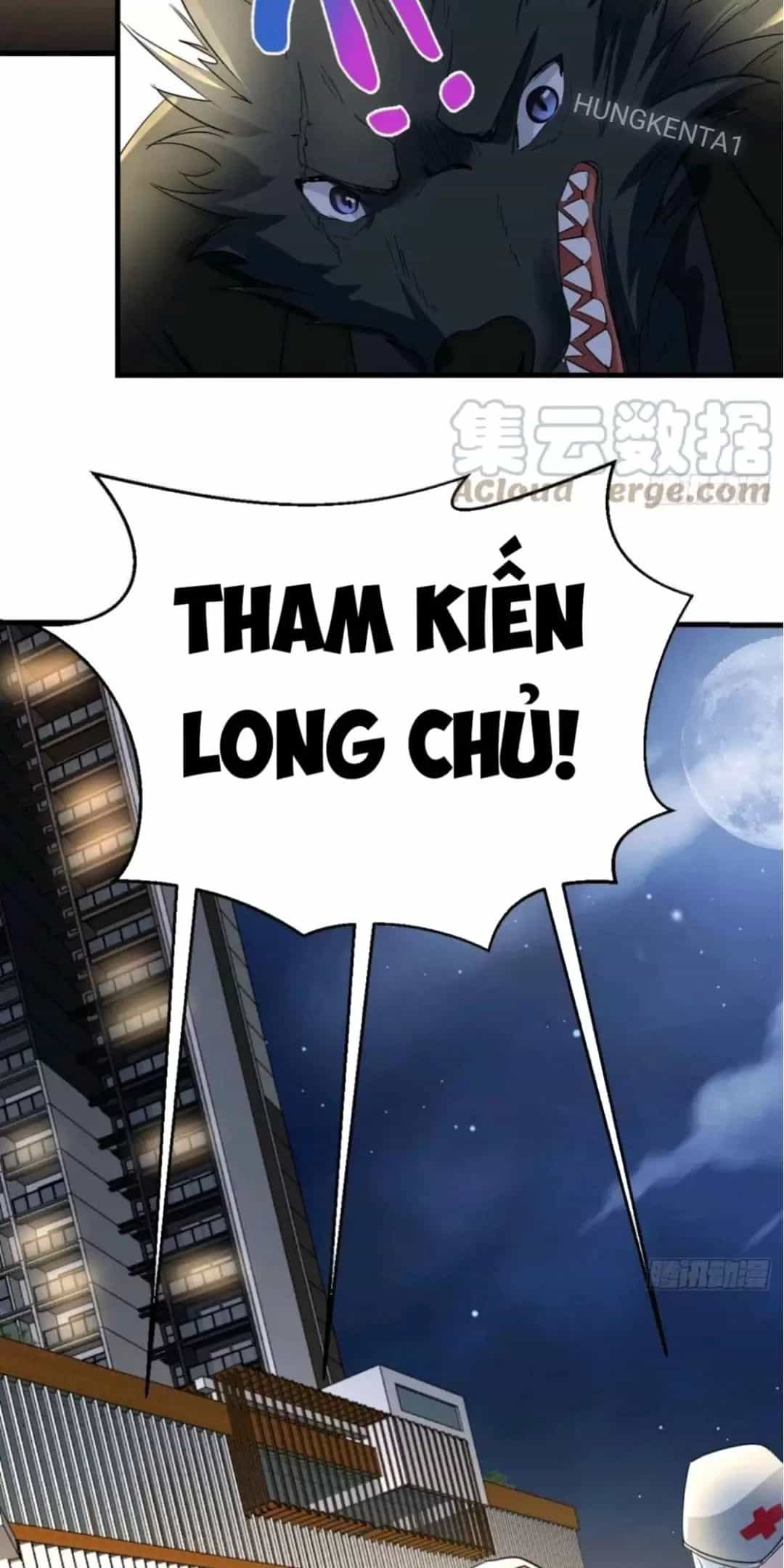 Ta Mắc Chứng Tu Luyện Trâu Bò - Chương 104 - ảnh 18