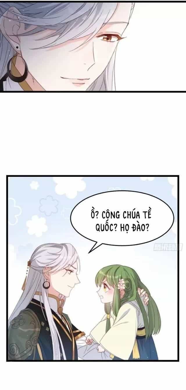 Ta Mới Không Gả Cho Hoàng Tử Phản Diện - Chương 1 - ảnh 36
