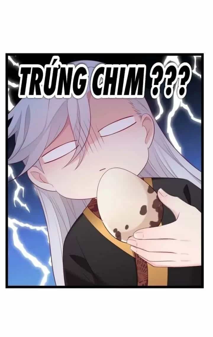 Ta Mới Không Gả Cho Hoàng Tử Phản Diện - Chương 10 - ảnh 38