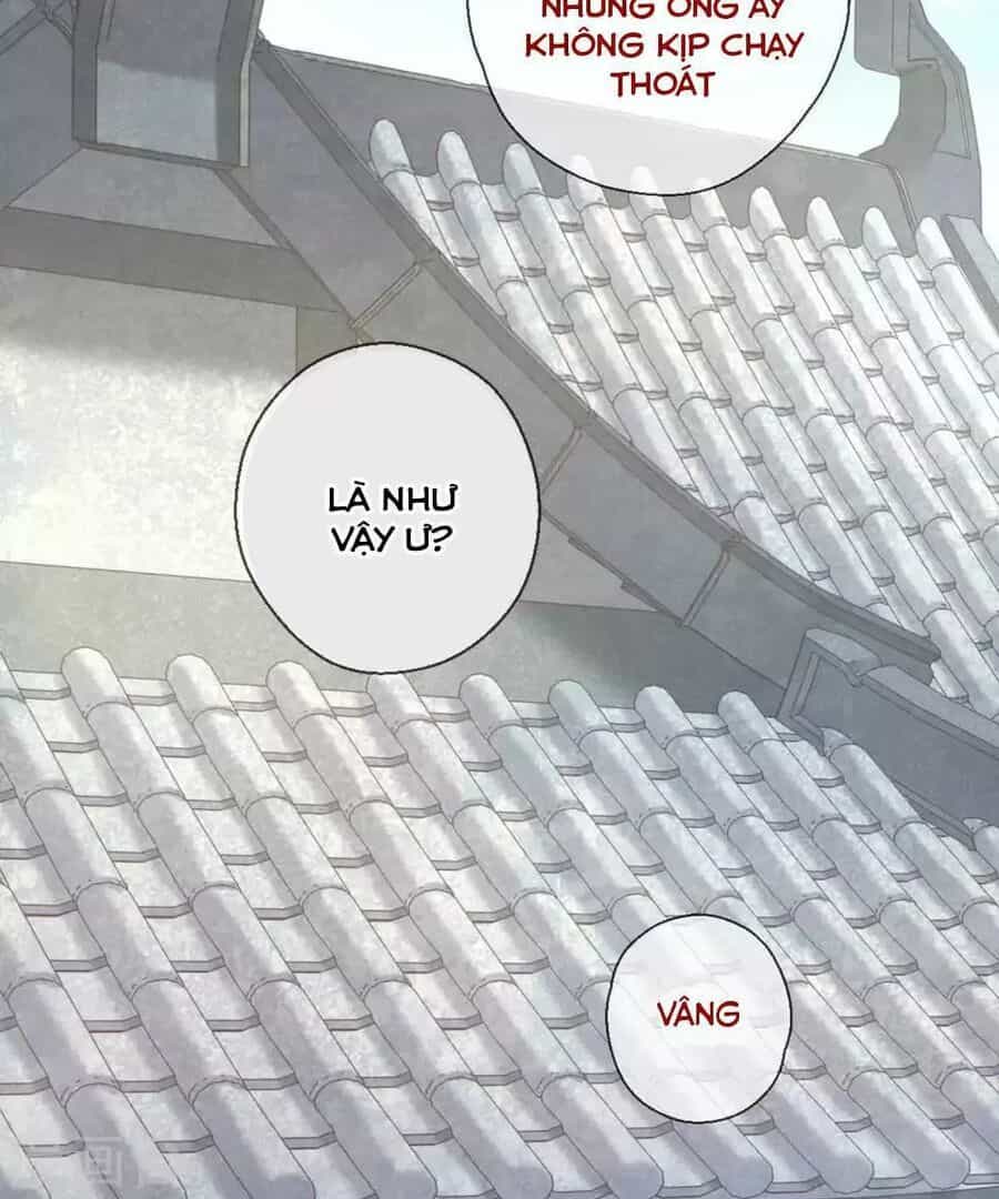 Ta Nấu - Chàng Giết - Chương 37 - ảnh 13